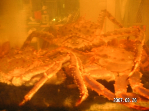 s_PICT0138.jpg